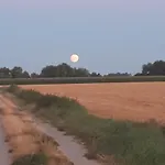 Homestay szállás Bialy *
