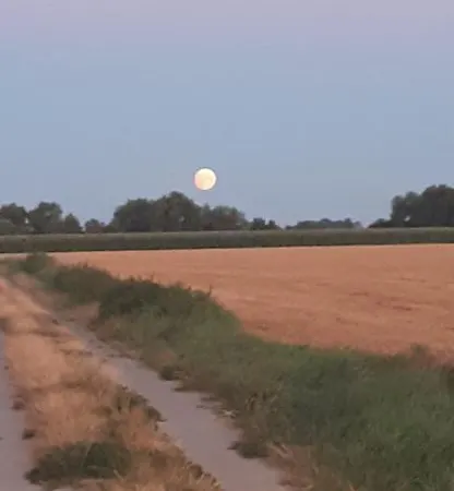 Privat bolig Bialy *