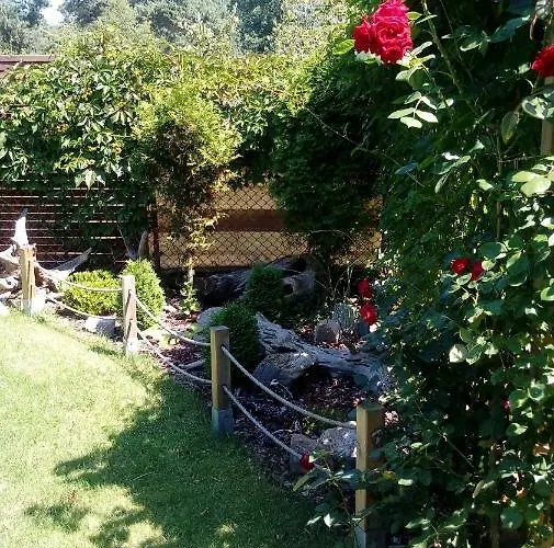 Bialy Accommodatie bij particulieren Stegna (Pomerania)